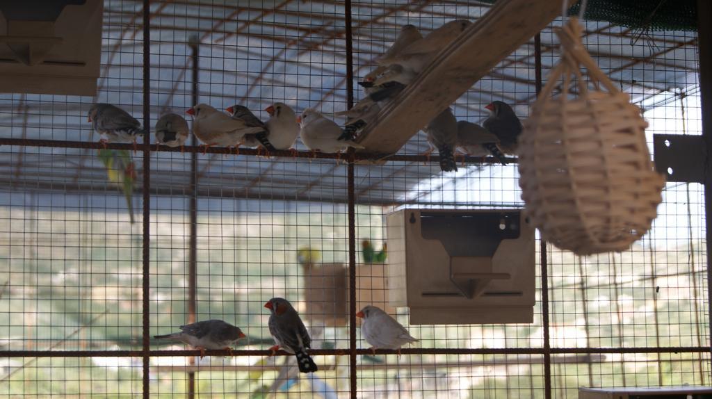 أغريجنتو B&B Eyexei Domus المظهر الخارجي الصورة